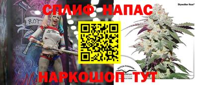 мдпв Обнинск