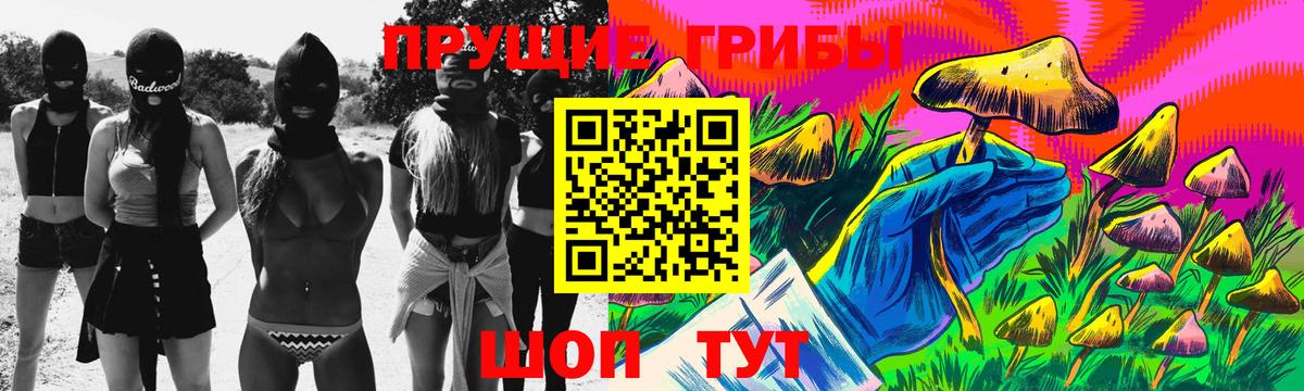 Спасск-Дальний  Галлюциногенные грибы Psilocybine cubensis  Вход с VPN 