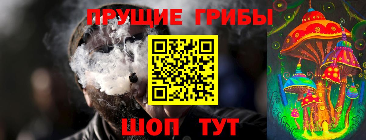 Псилоцибиновые грибы Psilocybine cubensis Спасск-Дальний